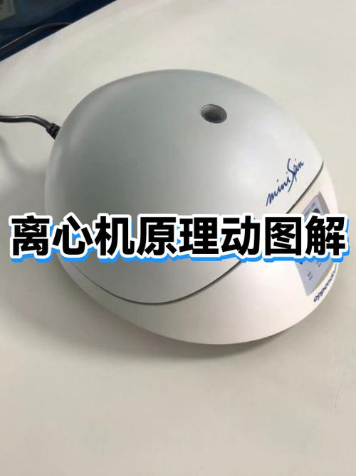 怎么关闭重力旋转