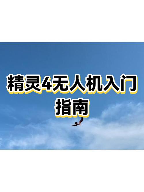 精灵4拍照模糊怎么设置