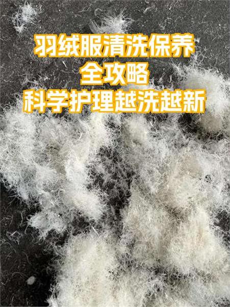 羽绒取出的正确方法