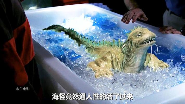 海怪能冷冻吗