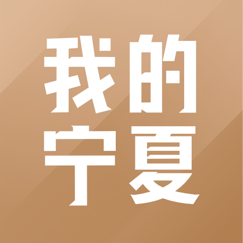 我的宁夏app下载官网下载