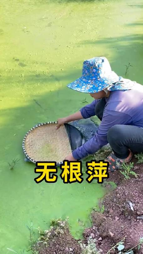免root虚拟机