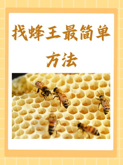家庭养蜂最简单方法缩略图