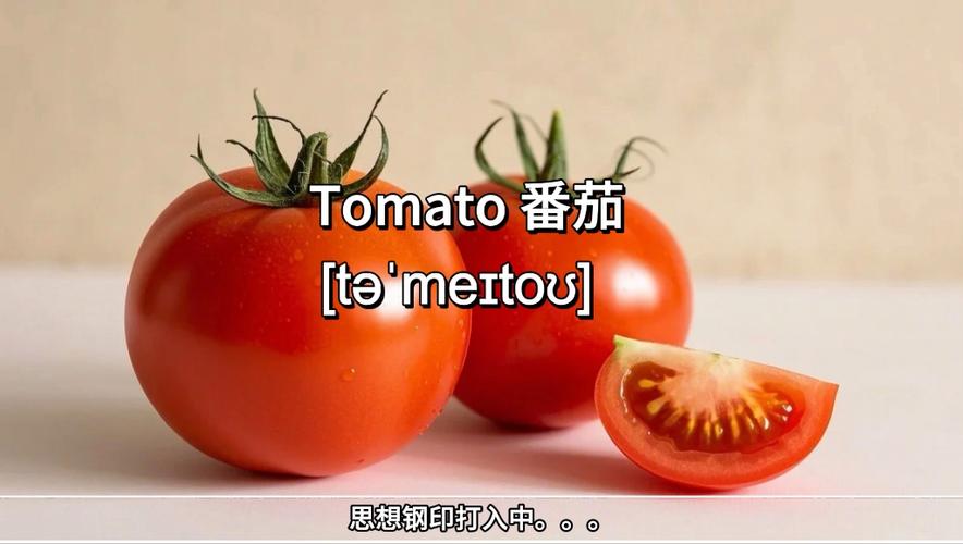 tomato番茄