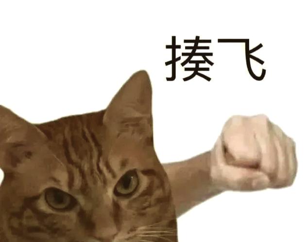 跳舞发圈幽默句子游戏截图