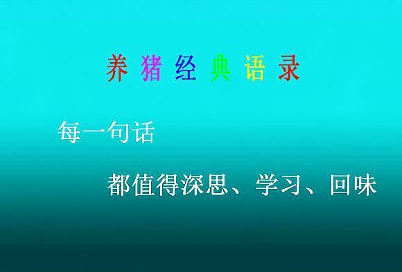 养猪经典语录游戏截图