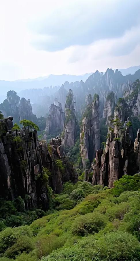 最好看的风景图片
