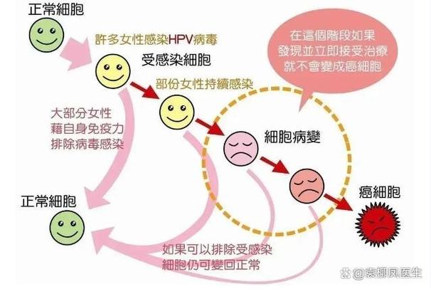 hpv拷贝数多少严重缩略图