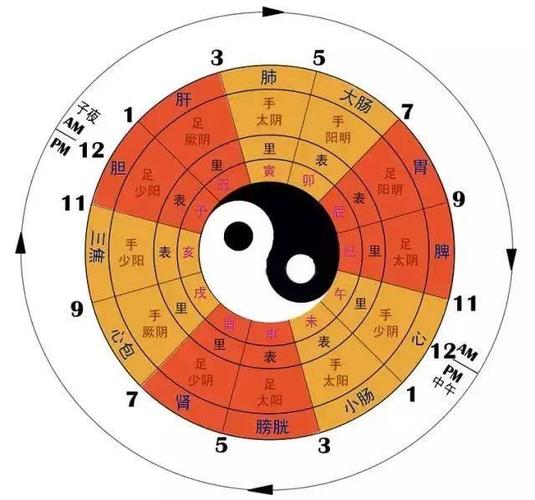 子午流注最简单方法缩略图