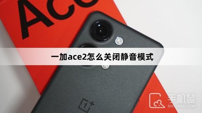 一加ace2开发者模式如何关闭