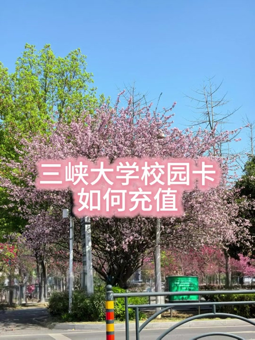 中国银行充校园卡缩略图