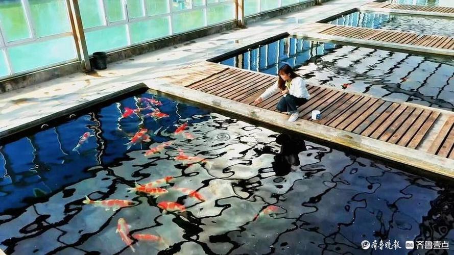锦鲤乡手机版截图