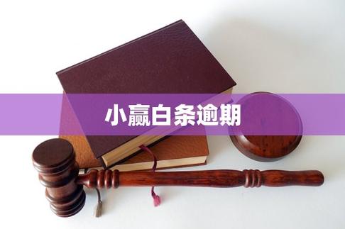 小赢白条怎么样