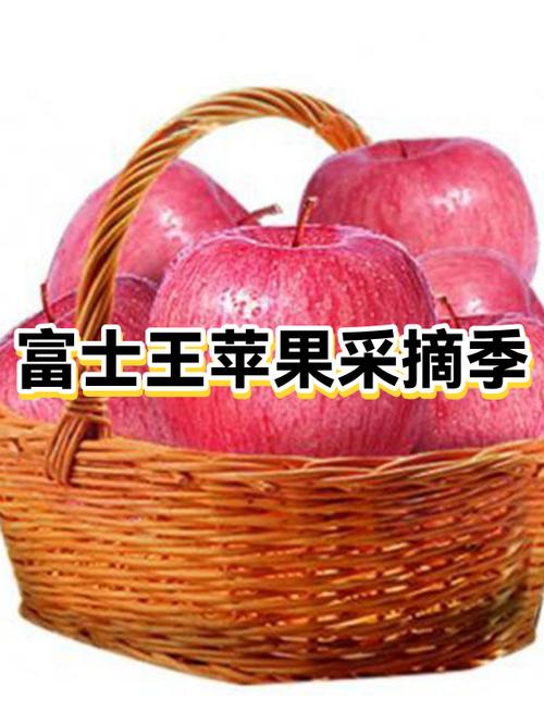 截图王苹果版免费图标