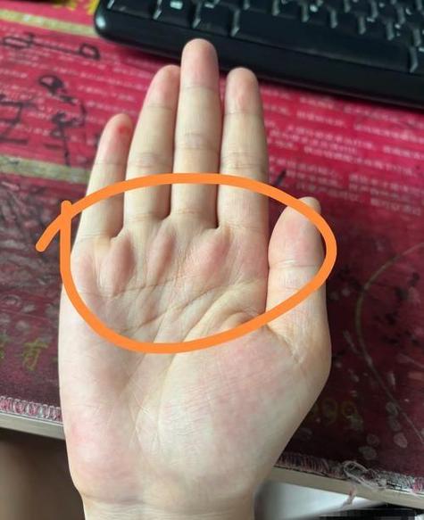 手相福禄寿三丘隆起女人截图