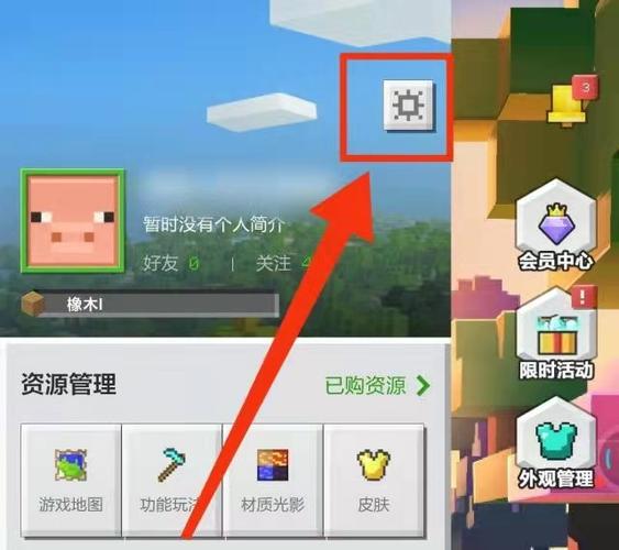 我的世界怎么调画质高图标