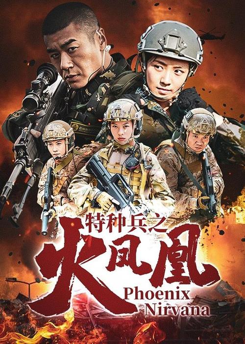 十部必看特种部队电视剧