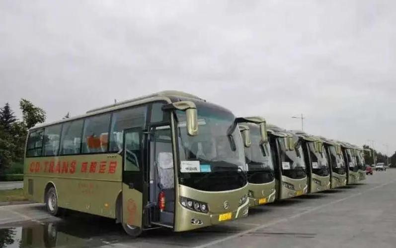 成都租7座车多少钱一天截图