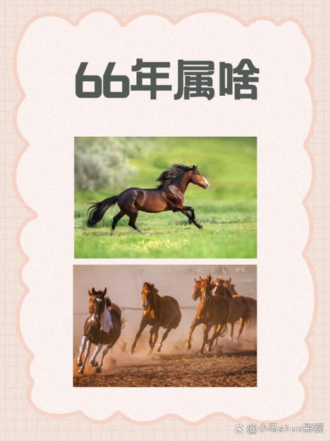 1966属马戴啥最旺