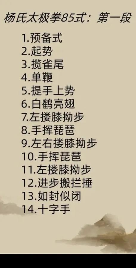 太极85式口令式视频