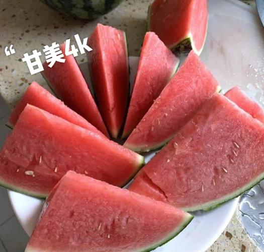 麒麟瓜是大瓜还是小瓜图标