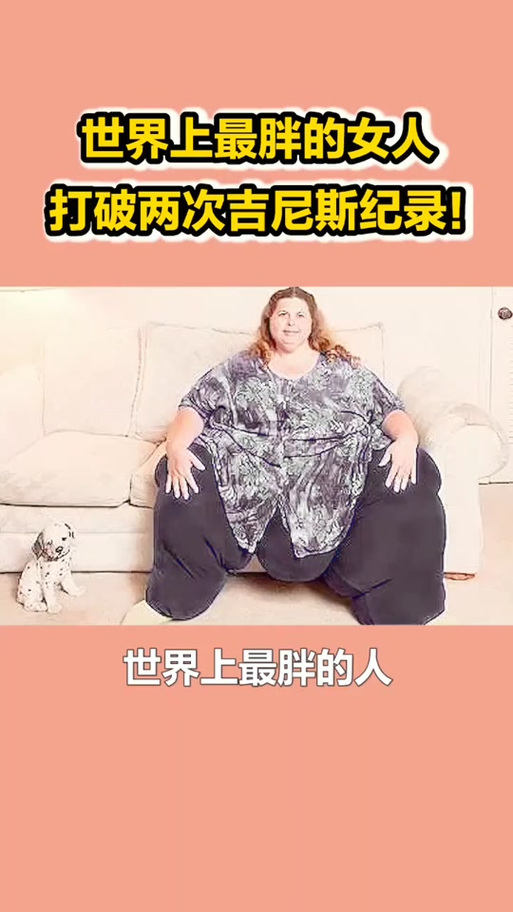胖子的世界去看看