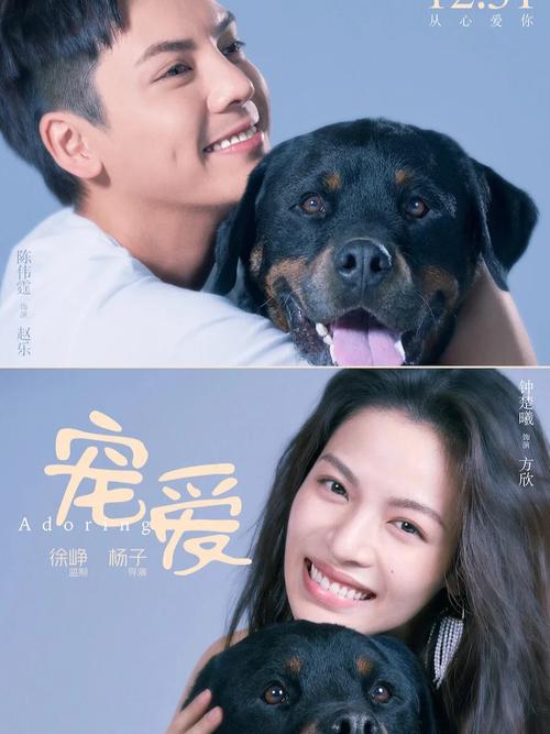 大宠爱和福来恩对比