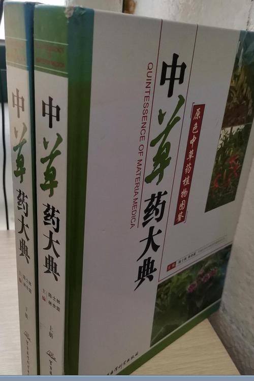 中国药典中药饮片目录