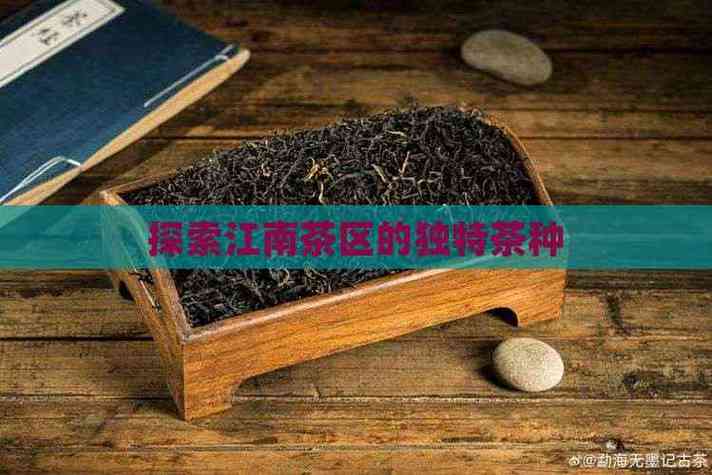 茶树种子图片