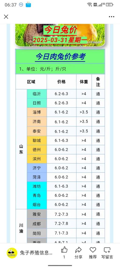 肉兔2026价格表