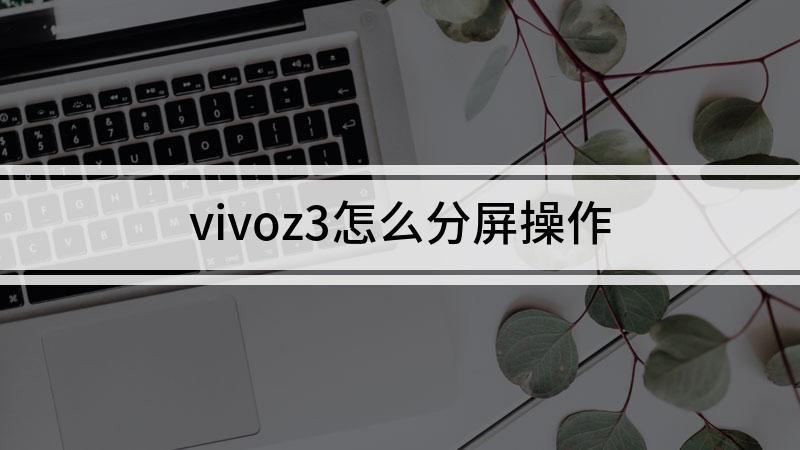 vivoz3i怎么分屏缩略图