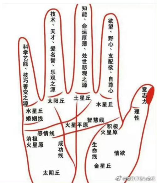 一条主线三条支线