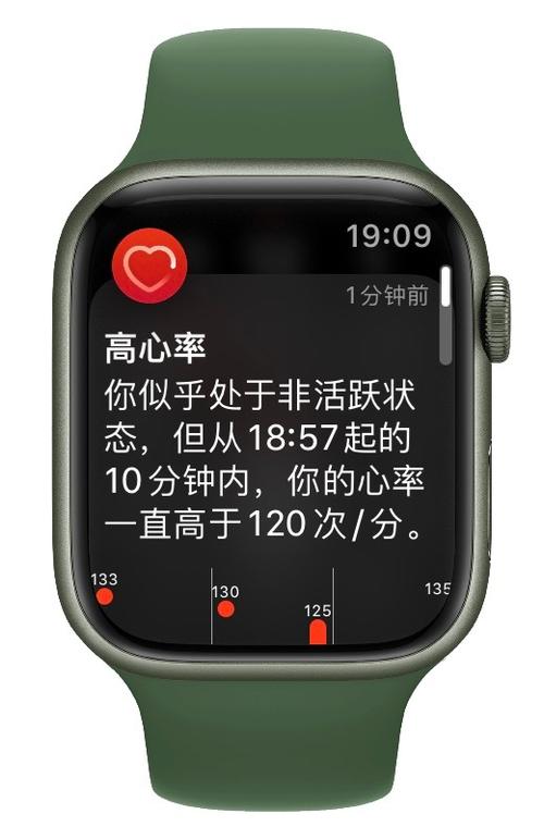 苹果手表能测心率吗