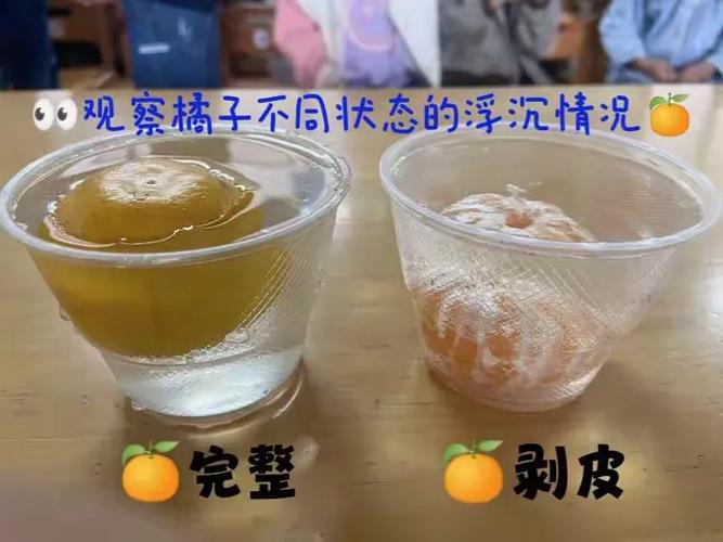沉浮小说