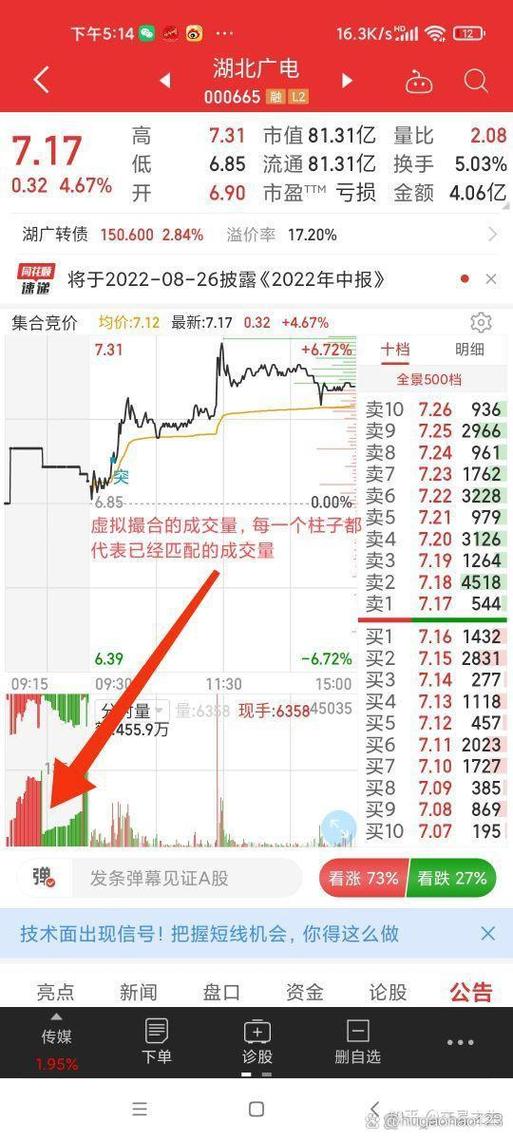 集合竞价成交量怎么看