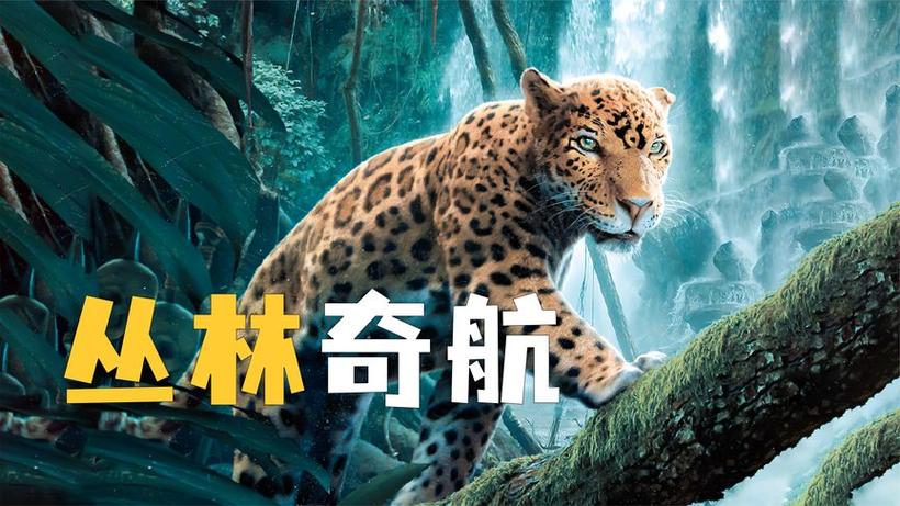 亚马逊雨林10部必看电影截图