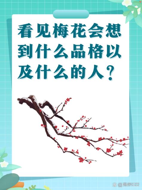 梅花介绍特点游戏截图