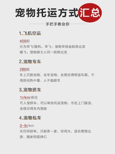 宠物经验丹怎么获得截图