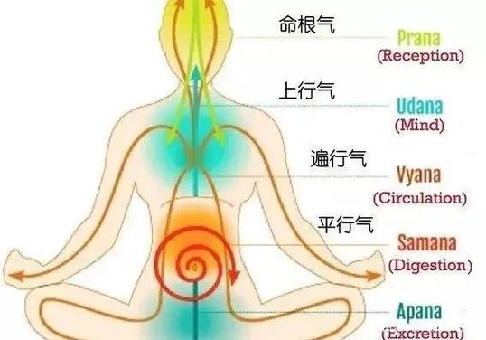 智能气功全身调气法