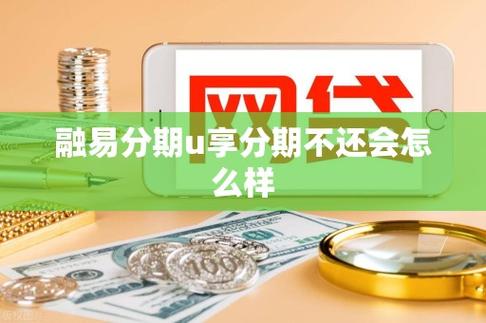 融易分期是正规公司吗游戏截图