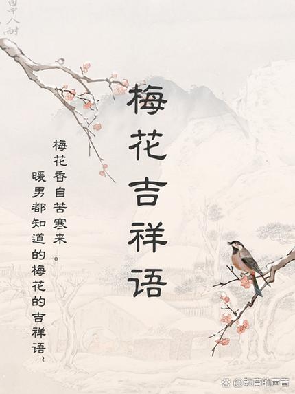 梅花青时截图