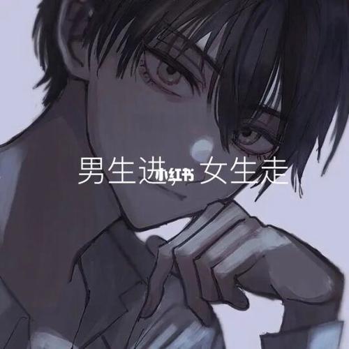 北辞内部版本图标