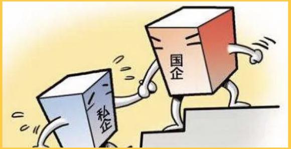 湖北太鲲畜牧是国企还是私企