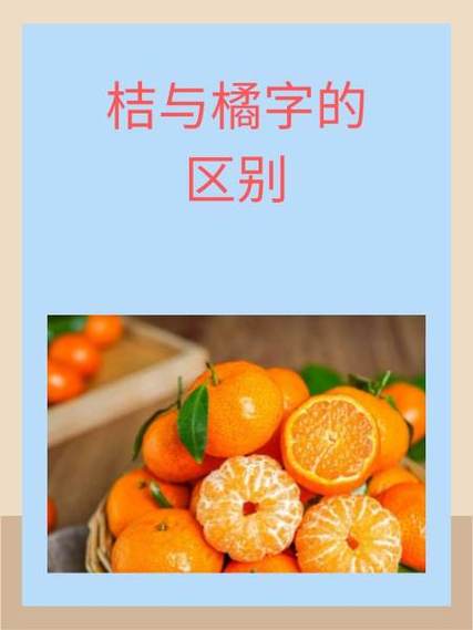 桔与橘有什么不同