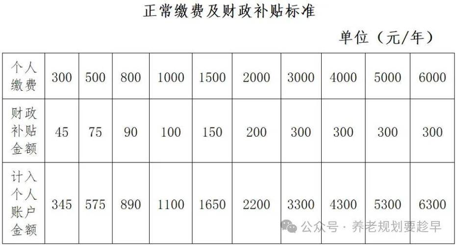 陕西2026缴费档次明细