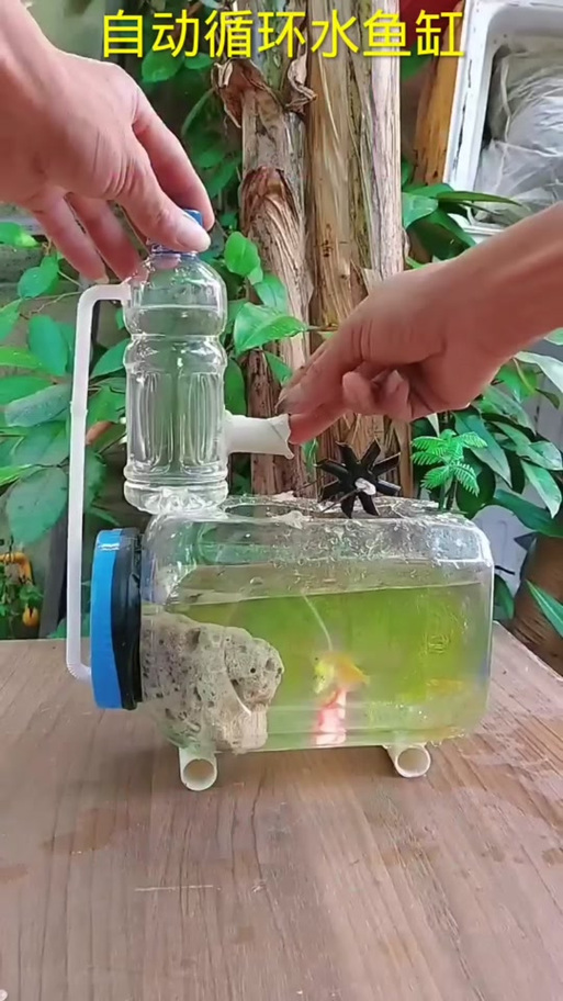 鱼缸自制水循环不用水泵截图