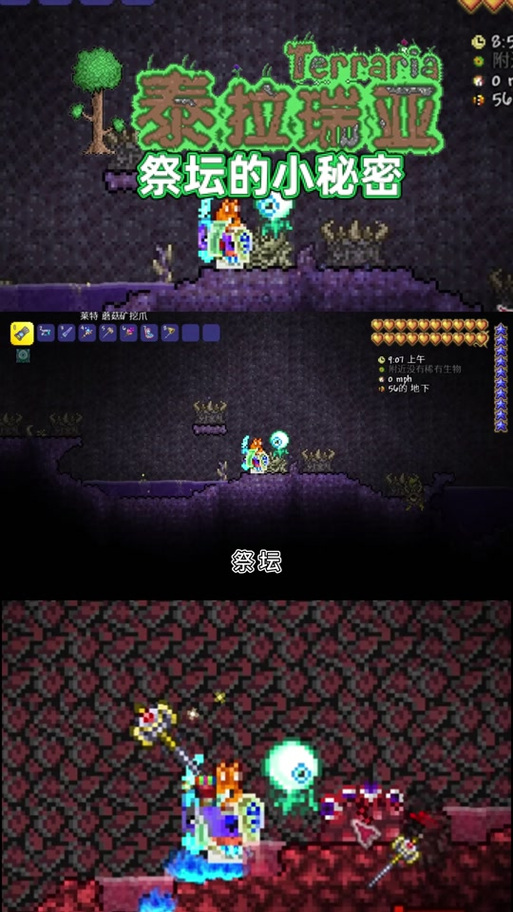 泰拉瑞亚调晚上指令