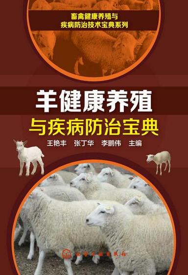 什么羊繁殖最快又好养