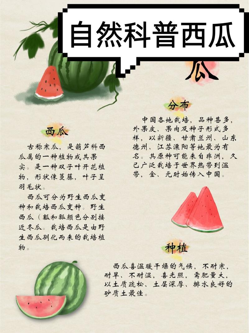 西瓜的形容词有哪些特点