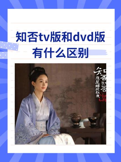 电视剧后面的dvd版是什么意思